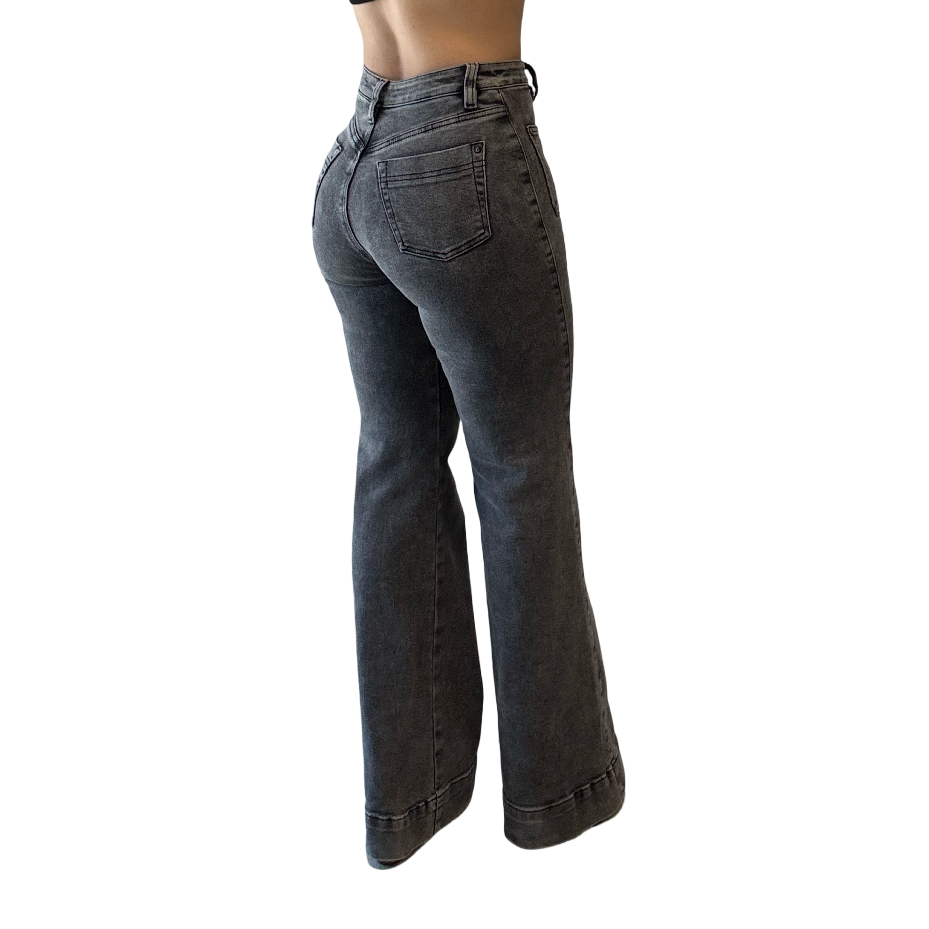 Seraphina High-Rise Flare Jean.