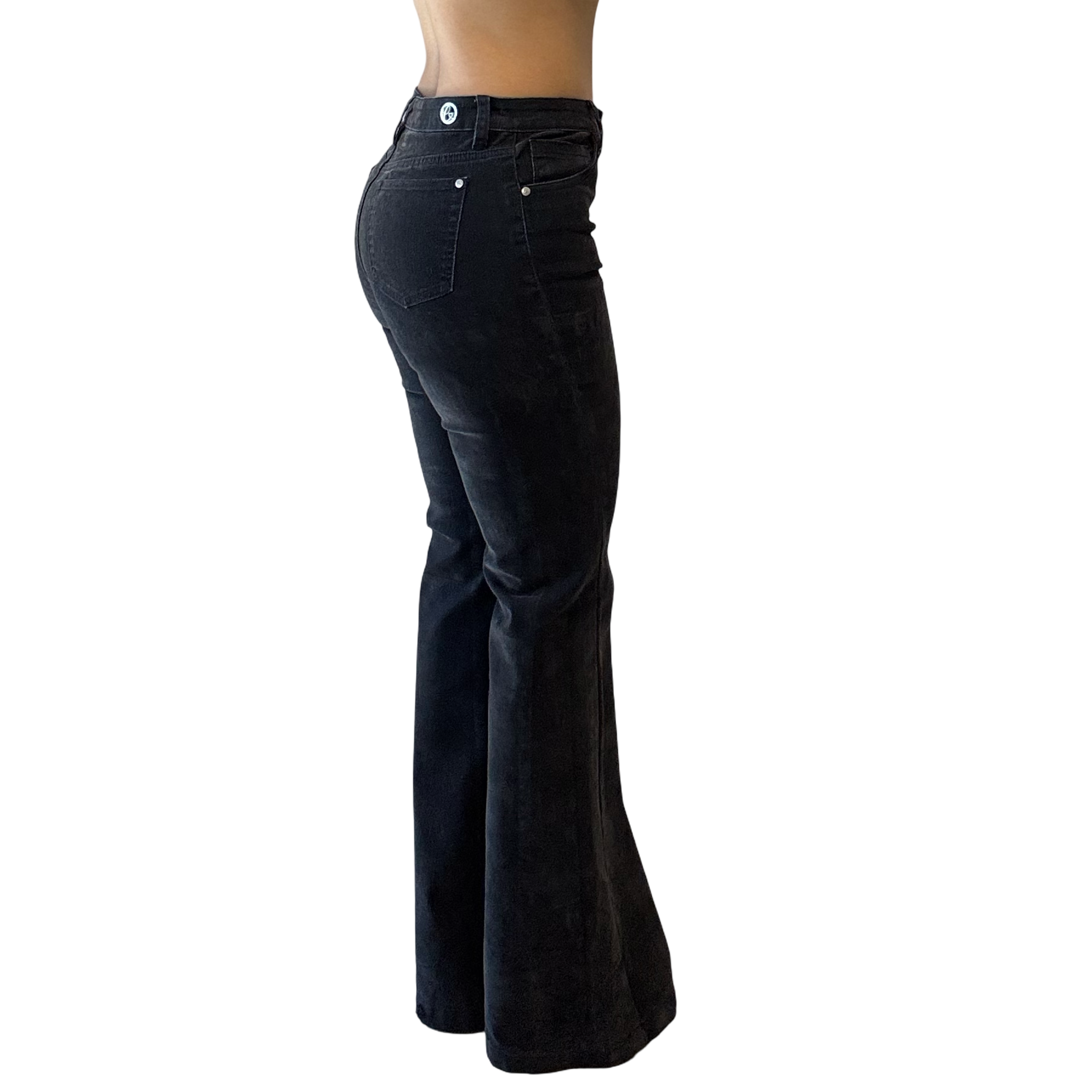 Bianca Velvet Flare Pant